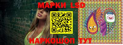 стаф Будённовск