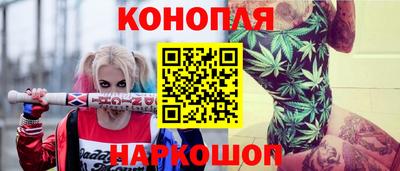 стаф Будённовск