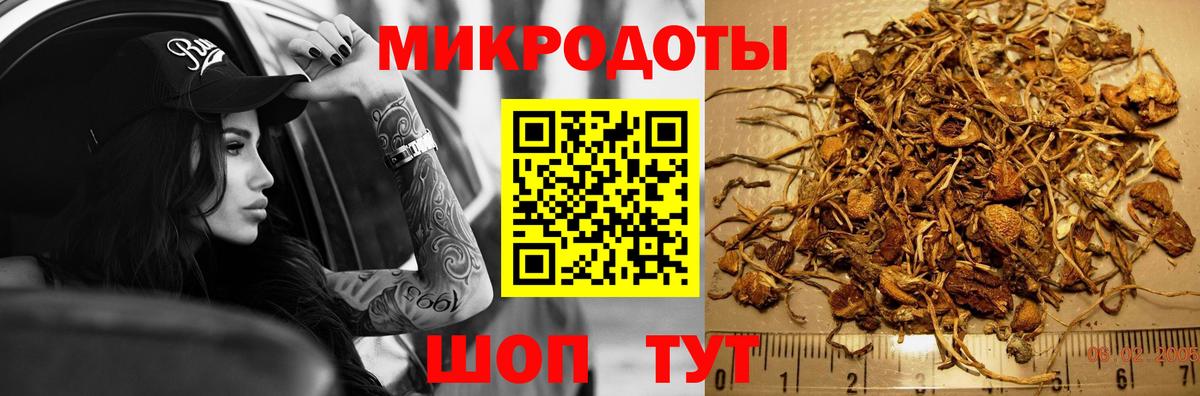 Псилоцибиновые грибы Psilocybine cubensis Вышний Волочёк